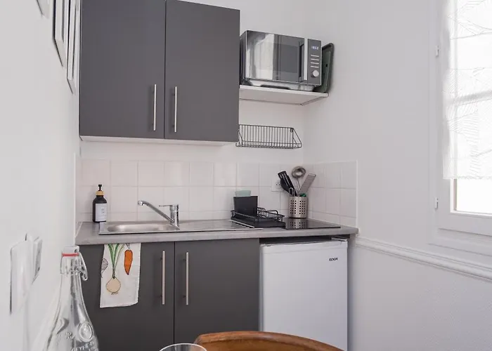 Hyper Centre, Phenix-sils Appartement