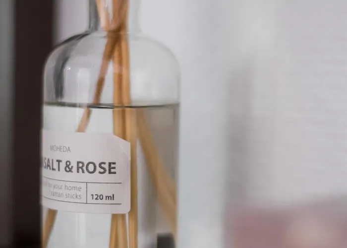 Hyper Centre, Phenix-sils Appartement *